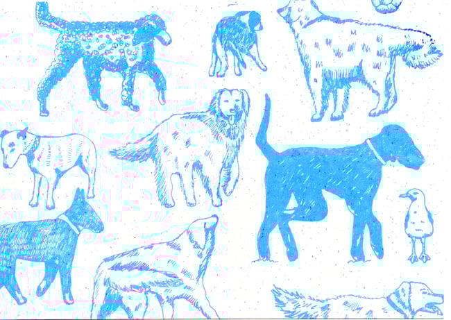 Beach dogs notebooks