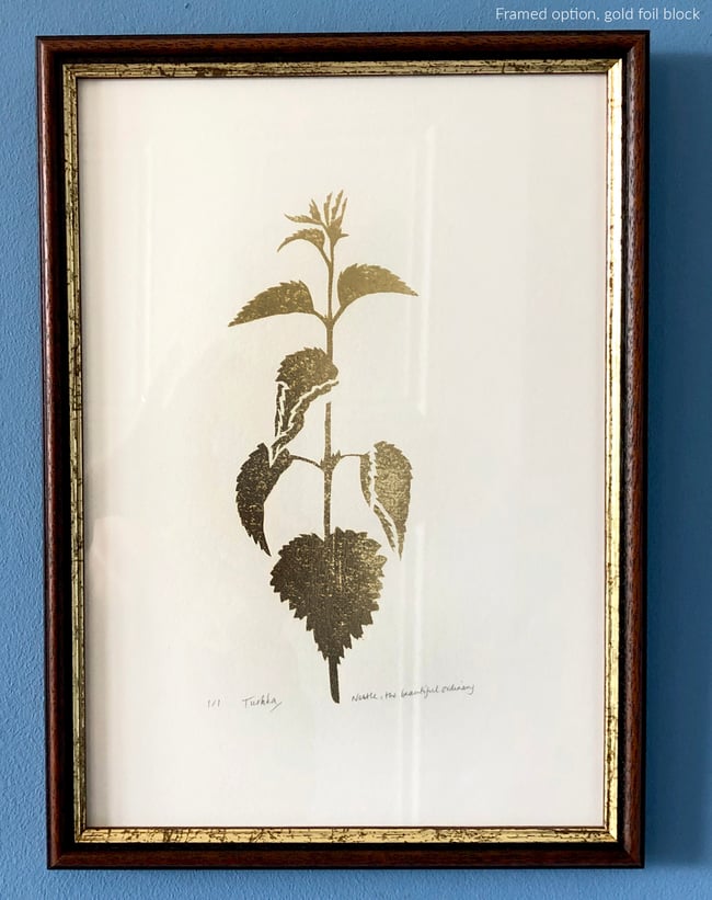Nettle, the beautiful ordinary