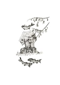 Bear and Salmon