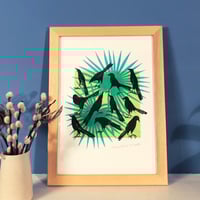 Image 2 of Mexican Birds