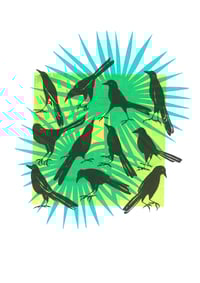 Image 1 of Mexican Birds