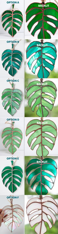 Image 4 of Monstera Leaf Sun Catcher