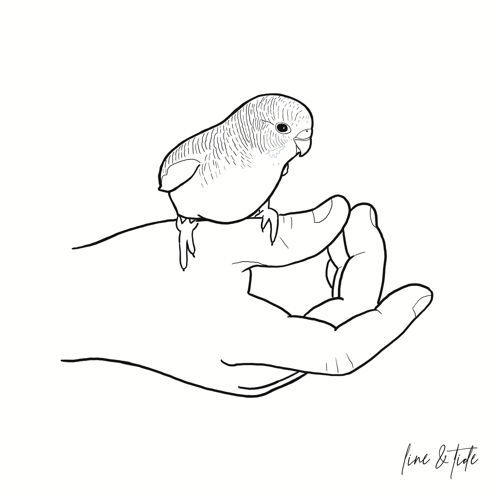 Image of Pet Portrait