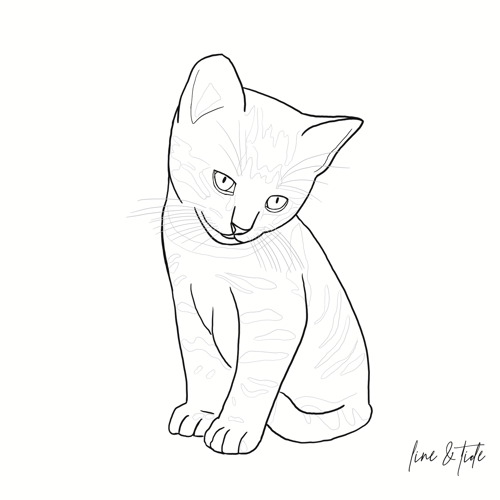 Image of Pet Portrait