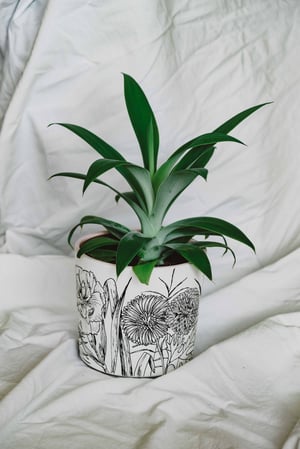 Image of POT FLORES 5