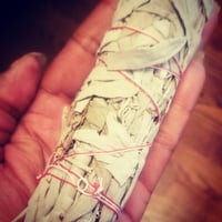 Image 1 of White sage