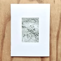 Image 1 of Peach - Nature Boy