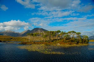 Pine Island