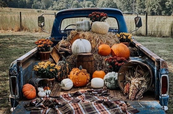 Image of Pumpkin Truck Mini Sessions 2020