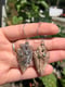 Image of madeline earrings