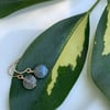 coin labradorite earrings