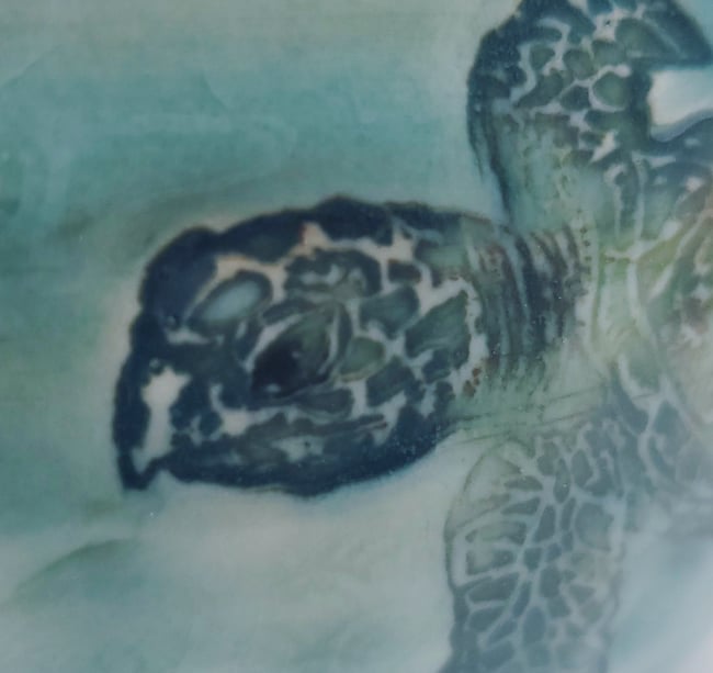 Swimming Sea Turtle Mug