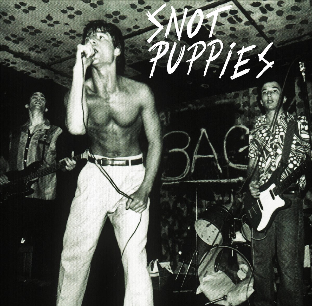 Image of SNOT PUPPIES - 1978 7"