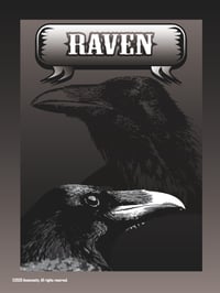 Image 2 of Raven