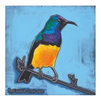 Image 3 of The Regal Sunbird Print