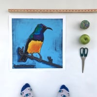 Image 1 of The Regal Sunbird Print