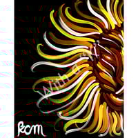 Image 2 of Red Lion