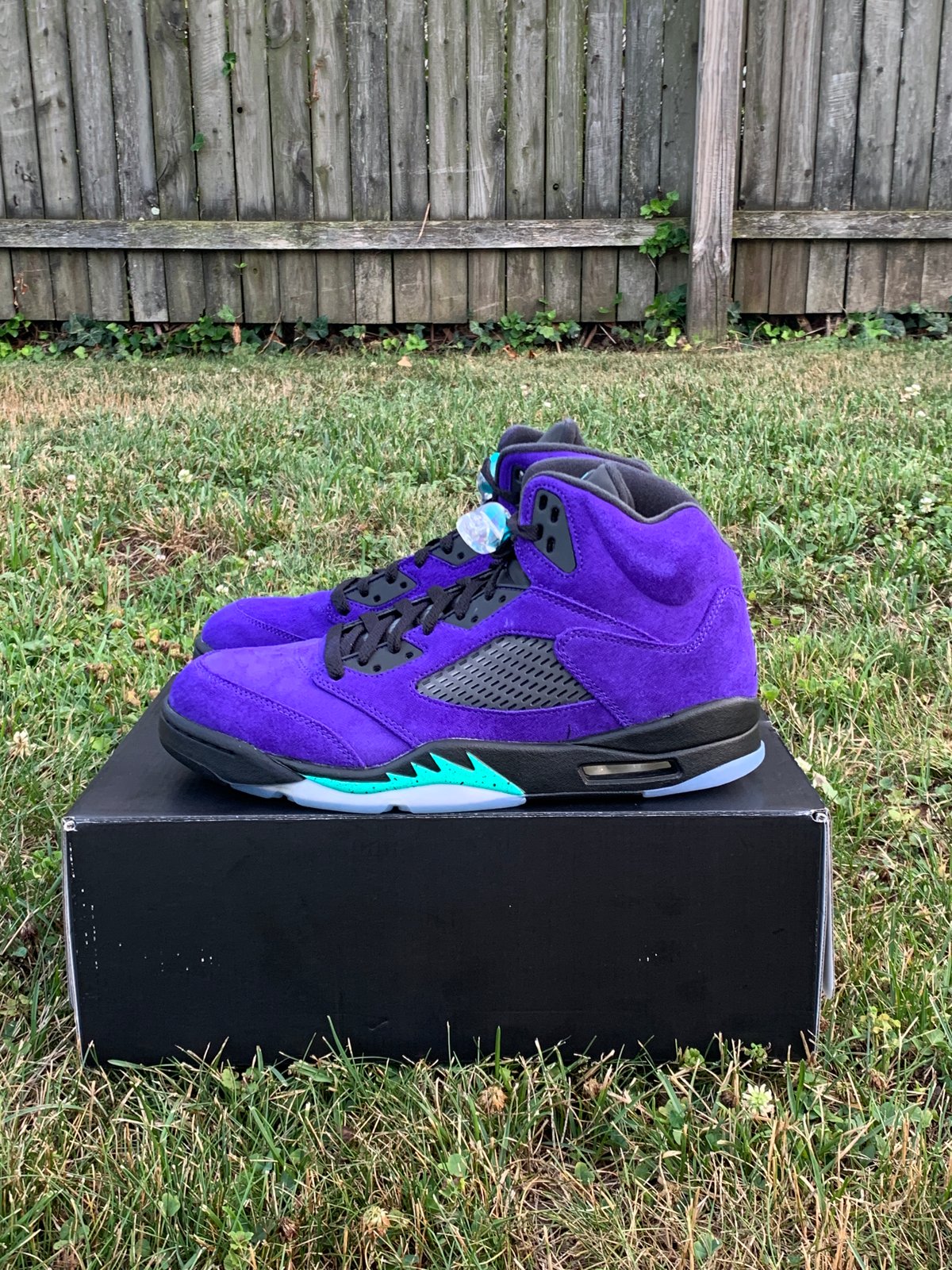 grape 5s