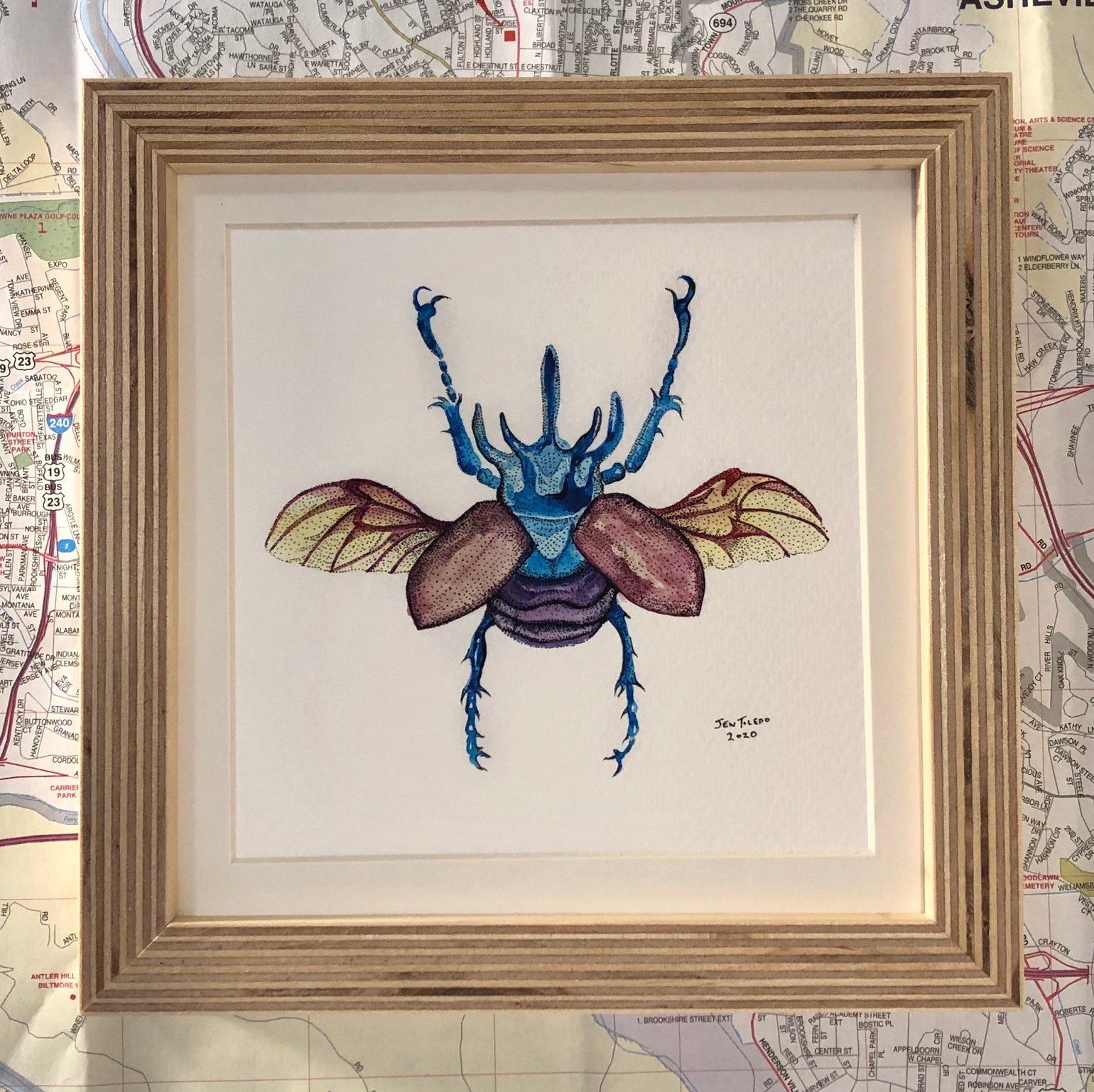 Small Framed Bug Prints Jen Toledo