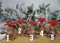 Image 2 of Poinsettia Mandrakes