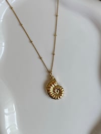 Image 2 of Gold Spiral Shell Necklace