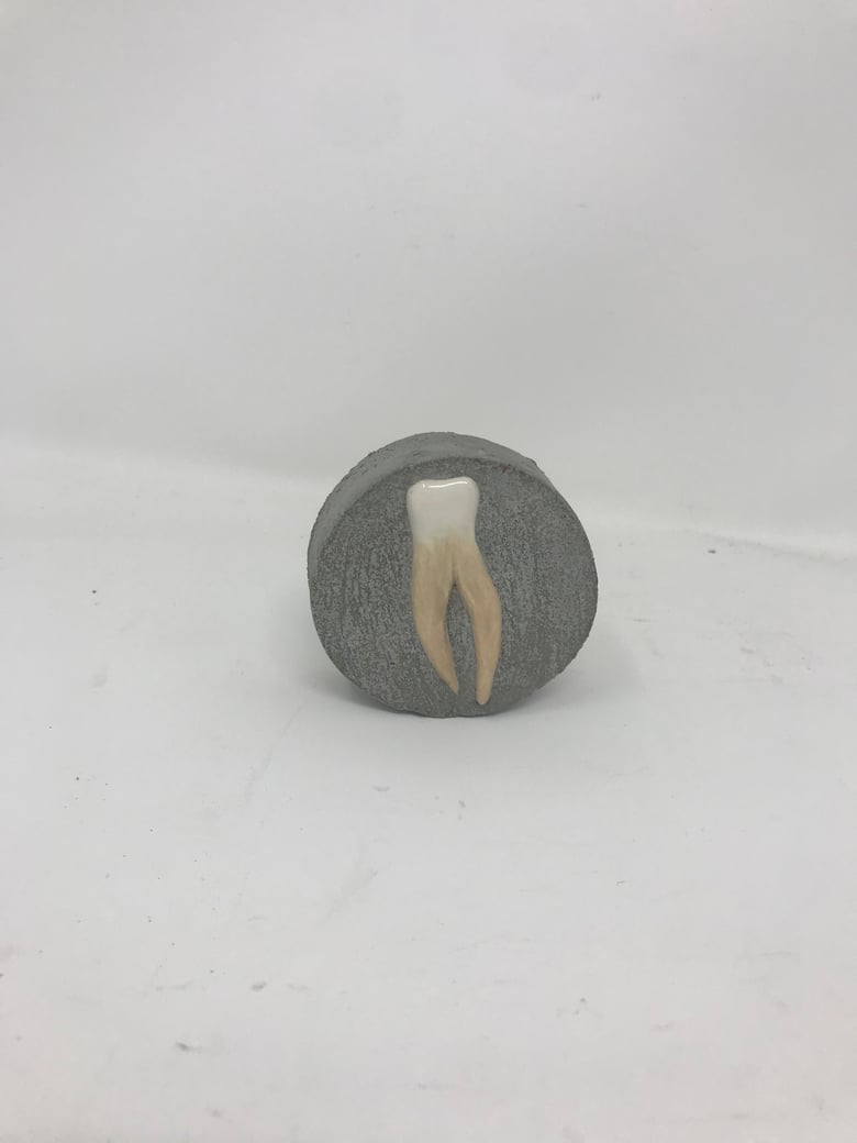 Image of Toothy Garden Jewel 