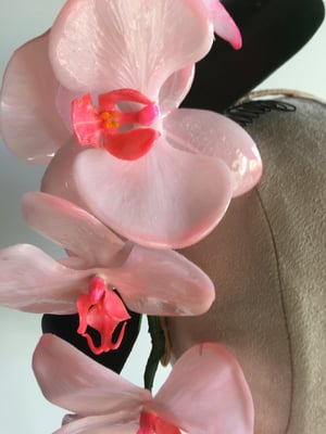 Image of Pale pink orchids  
