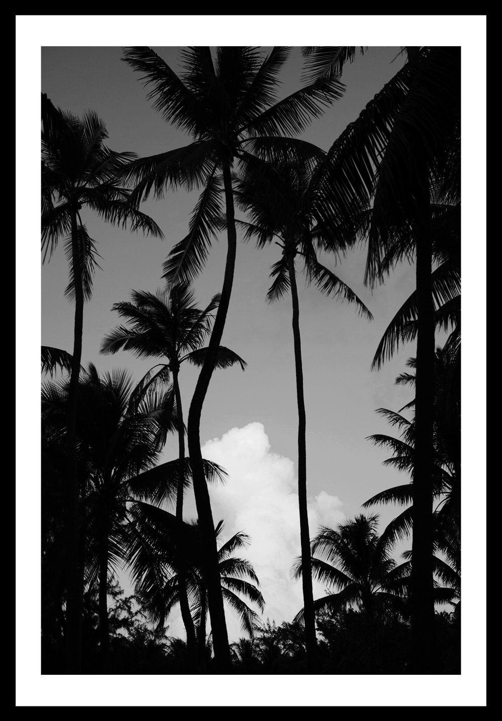 Image of Clouds and Trees. Taha'a Island, French Polynesia. 2012