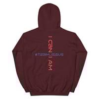Image 12 of I Can I Am "Vote Jesus" Unisex Hoodie copy