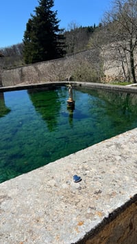 Image 4 of Specchietto #1