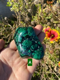 Image 1 of Malachite and Chrysocolla 
