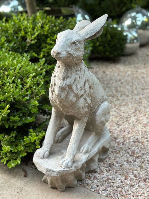 Image of Entrance Hare 