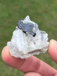 Image 2 of Hübnerite & Fine Quartz Points Specimen | Peru #3060