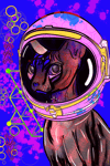 Space Cat LE Print (Direct Shipped)