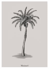 Affichette format A5 « Palm Tree »