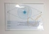 Thaumatrope Print / Corporeality of Vision / Twinkle / Starry-Eyed
