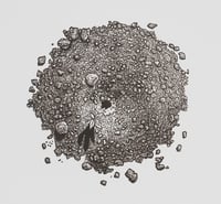 Image 1 of Ant Mound (Mini)