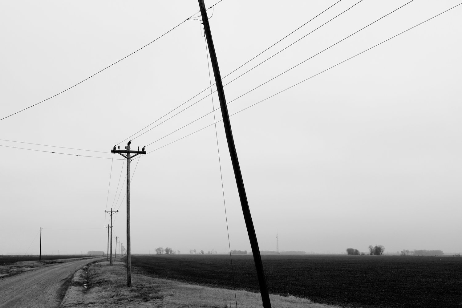 Image of Power Lines. Mississippi. 2017