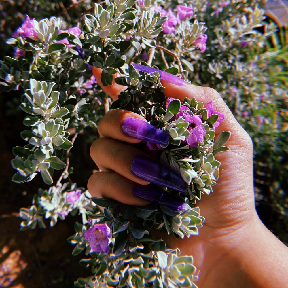 Image of ☔️💜🦄 Lavender Jelly🦄💜☔️