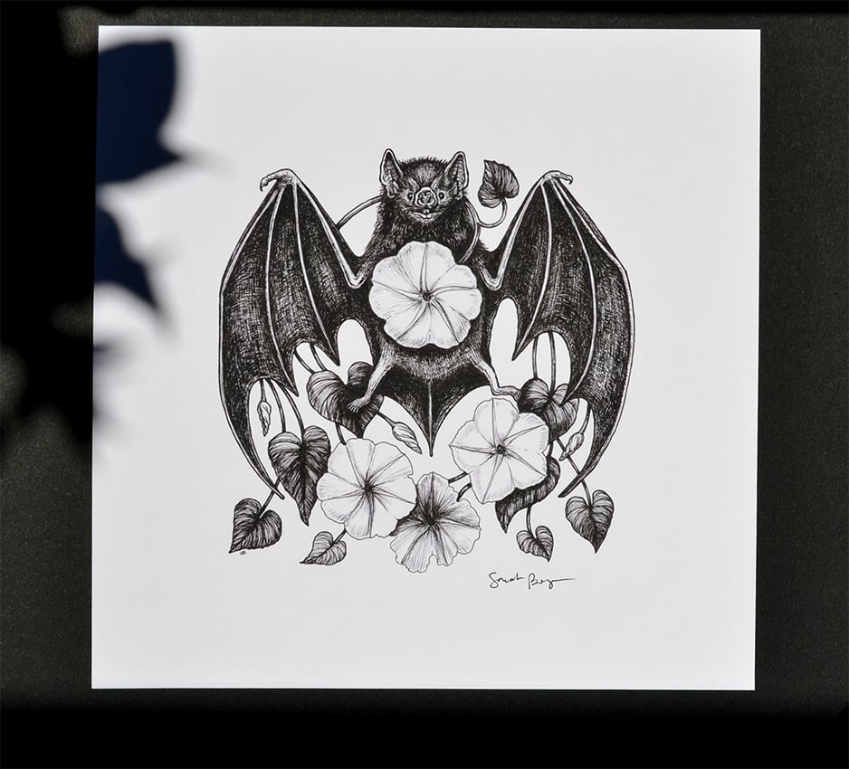 Image of Moonflower Bat