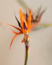 Image 3 of DOGGY DOG