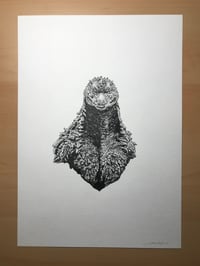 Image 2 of Gojira (original)