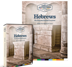 Image of Hebrews: The New and Eternal Covenant Dr. Andrew Swafford and Jeff Cavins, DVD and Workbook