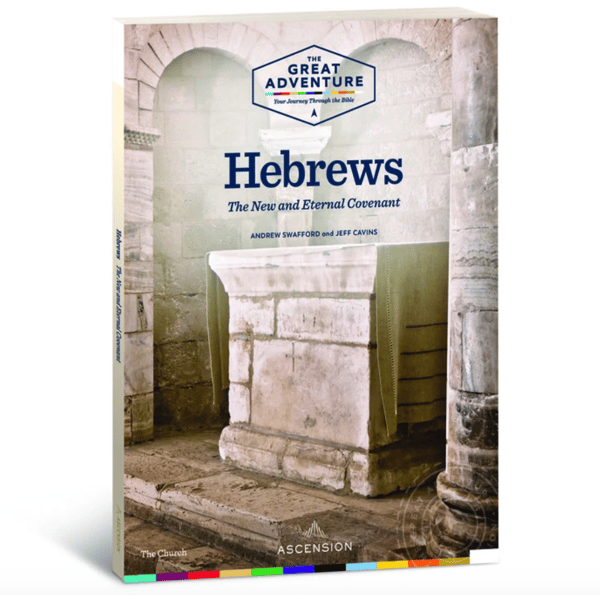 Image of Hebrews: The New and Eternal Covenant Dr. Andrew Swafford and Jeff Cavins, Workbook