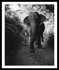 Image 1 of Morning Traffic. Dambulla, Sri Lanka. 2011