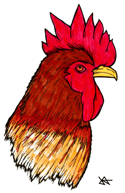 Image of Rooster Print