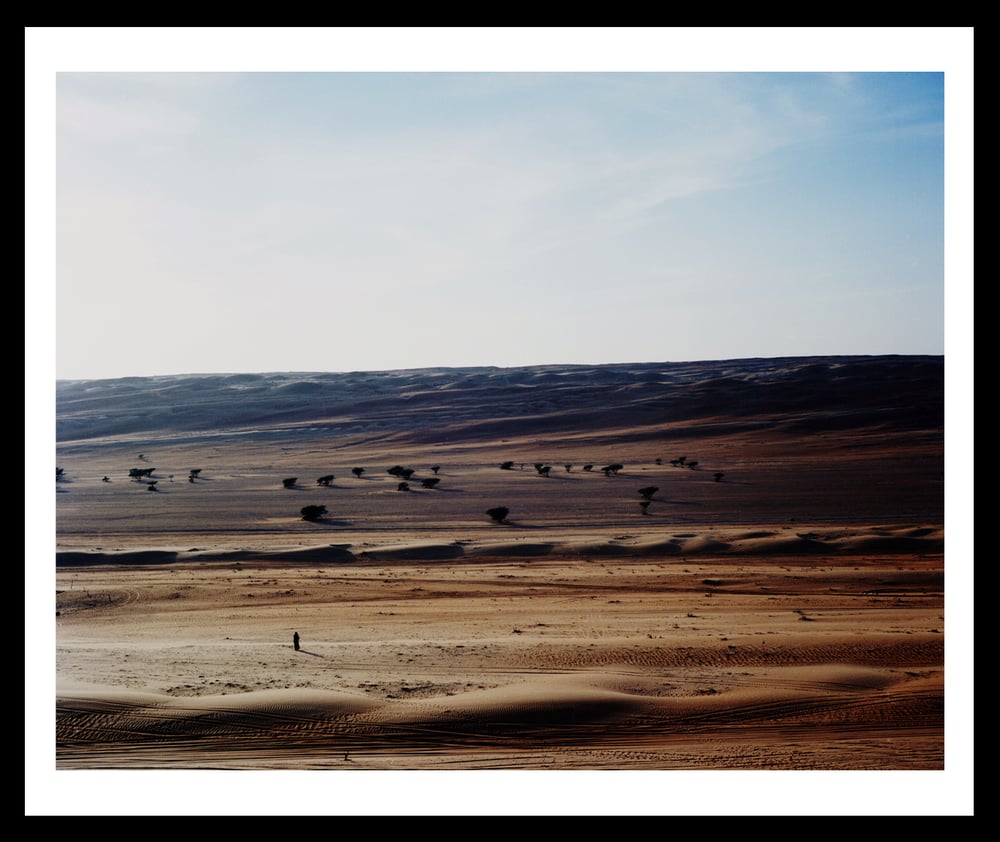 Image of Solitary. Wahiba Sands, Oman. 