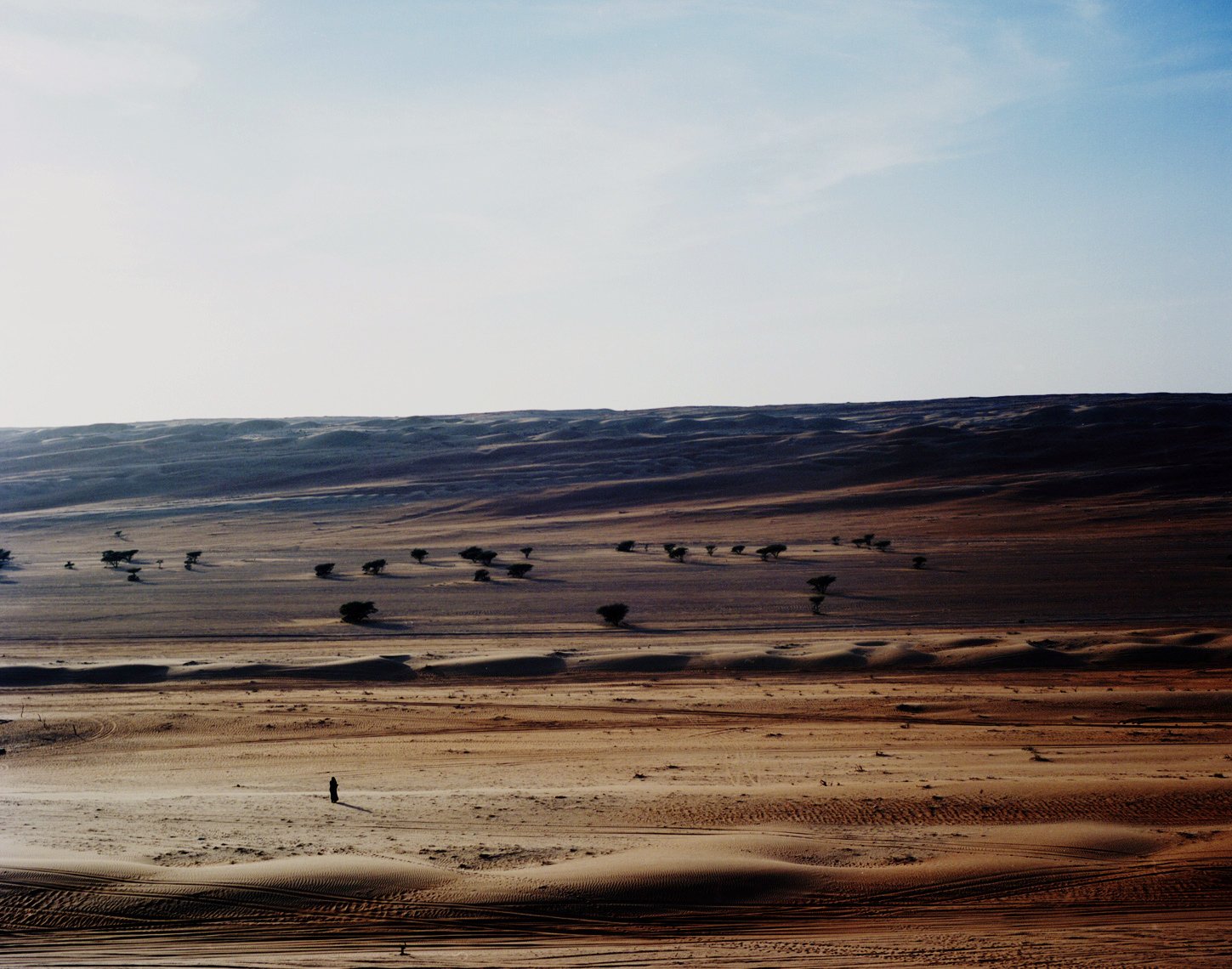 Image of Solitary. Wahiba Sands, Oman. 
