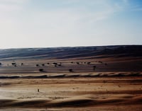 Image 2 of Solitary. Wahiba Sands, Oman. 