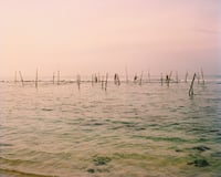 Image 2 of Stick Fishermen. Indian Ocean, Sri Lanka. 2011